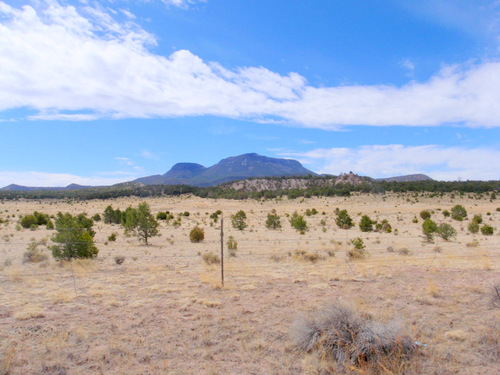Roadside View on the GDMBR, Gila NF, NM..